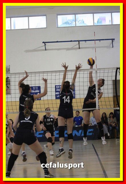 150523 volley 450_tn.jpg